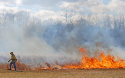 Măsuri de prevenire pentru perioadele caniculare – prevenirea incendiilor