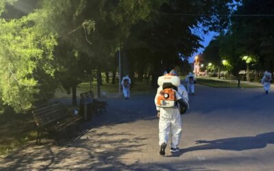 ANUNȚ PUBLIC – EFECTUAREA ACȚIUNII DE DEZINSECȚIE ÎN PARCURILE DE PE DOMENIUL PUBLIC AL ORAȘULUI EFORIE